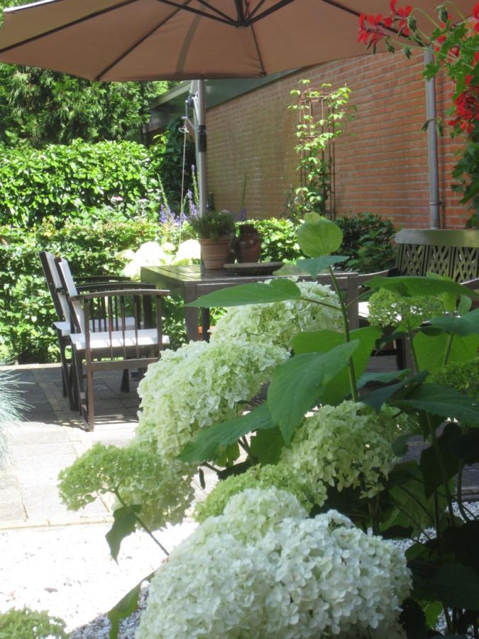 B&B De Gouden Vlo Donkerbroek Экстерьер фото